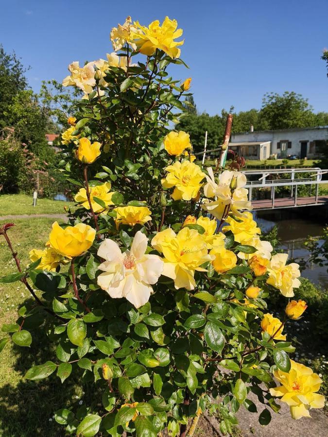 Le Cottage Des Hortillonnages Amiens Exteriör bild